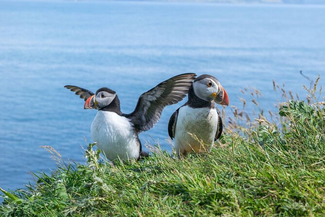 1 Day Moray Coast Tour with Speyside Whisky from Inverness - Key points before you go