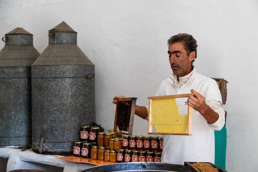 Algarve: Jeep Safari with Distillery Visit & Lunch - Should You Book This Algarve Jeep Safari?