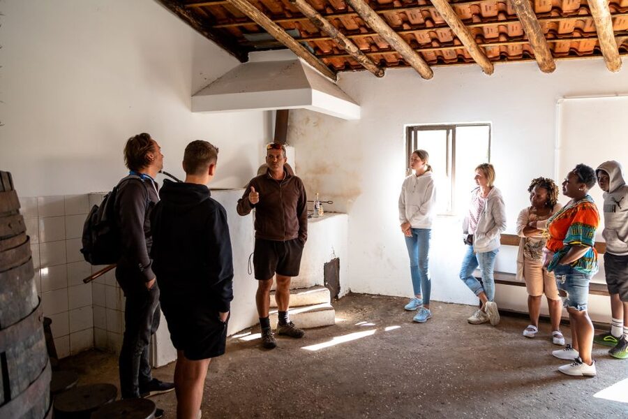 Algarve: Jeep Safari with Distillery Visit & Lunch - Lunch Off the Beaten Track: What the Meal Feels Like