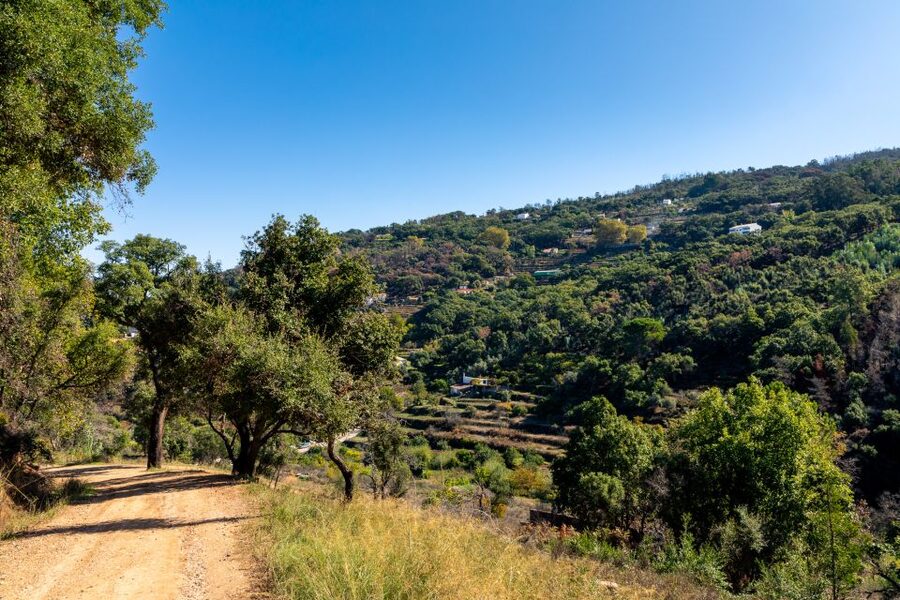 Algarve: Jeep Safari with Distillery Visit & Lunch - Who Should Book, and Who Should Skip This One