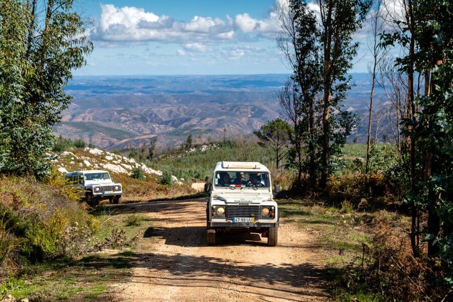 Algarve: Jeep Safari with Distillery Visit & Lunch - Pickup, Open-Jeep Reality, and How to Be Ready