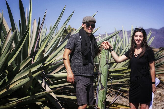 Artisanal Mezcal distillery in an authentic Zapotec village - Price and what $150 really buys in one long day