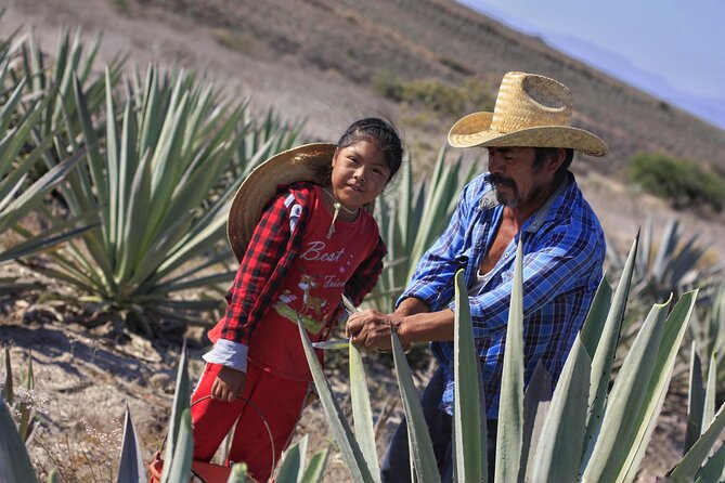 Artisanal Mezcal distillery in an authentic Zapotec village - How private really feels: small group attention without feeling scripted
