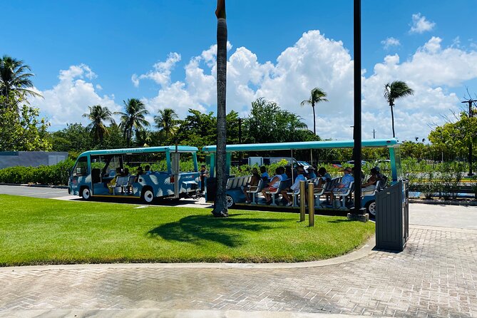 Bacardi Rum Distillery and Old San Juan Tour - Who this tour is best for (and who should skip it)