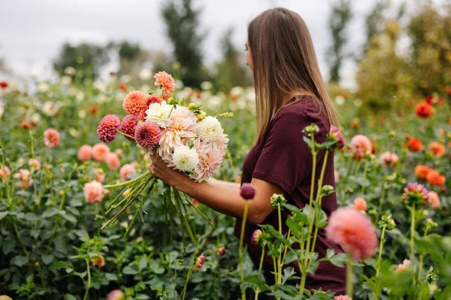 Bainbridge Island Discovery and Whiskey Tour - Key highlights you’ll feel during the tour