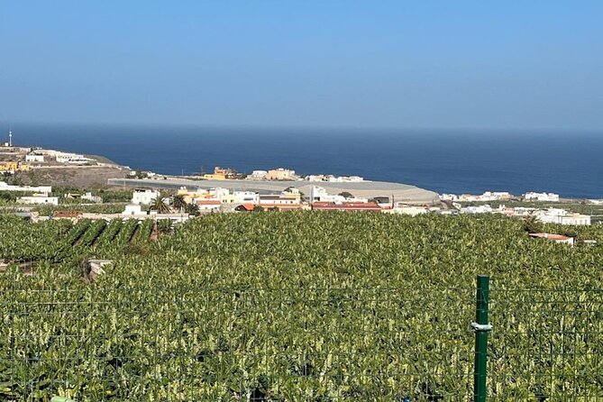Banana Museum, Rum Distillery & Winery with Tasting: Premium tour - A half-day that reads like a food and drink map