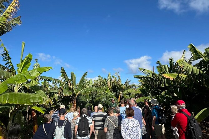 Banana Museum, Rum Distillery & Winery with Tasting: Premium tour - Stop 2: Banana products tasting (and the 18+ rule for alcohol)
