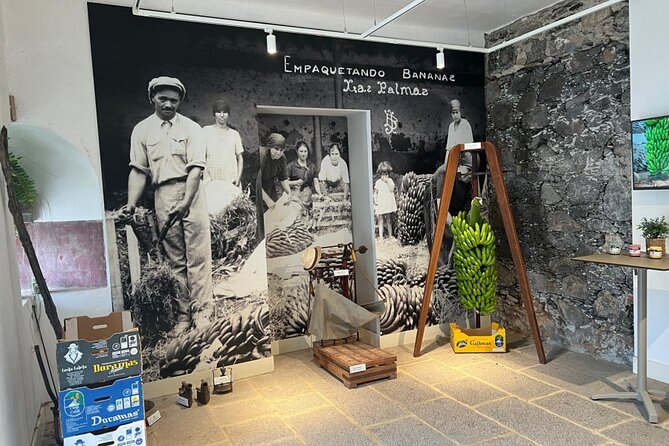 Banana Museum, Rum Distillery & Winery with Tasting: Premium tour - Stop 5: Agaete lunch stop with free time