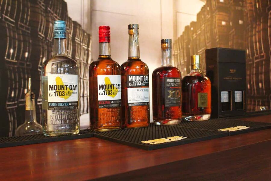 Barbados: Rum Distillery Tour and Mount Gay Visitor Center - Rum Distillery Tour: The Big Picture for Your 5 Hours