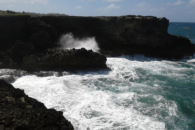 Barbados Sightseeing Plantation distillery tour, Lunch & Drink - Stop 1: St. Nicholas Abbey Plantation House and Rum Distillery (Plus a Railway Option)