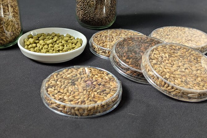Beer tasting in a Brussels Micro Brewery and Distillery - Price and value: why $30.03 can make sense here