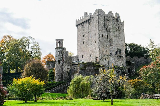 Blarney Castle Cork City and Jameson Distillery Small groups - From Cobh pickup to Blarney Castle: how the day starts