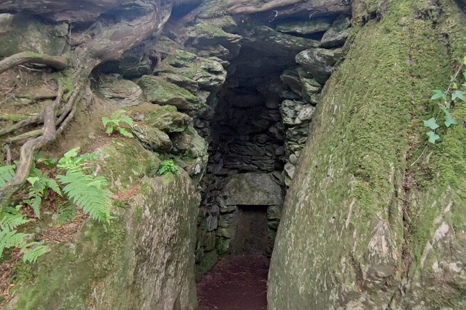 Blarney Castle Cork City and Jameson Distillery Small groups - Should you book this Blarney Castle, Cork City, and Jameson day?