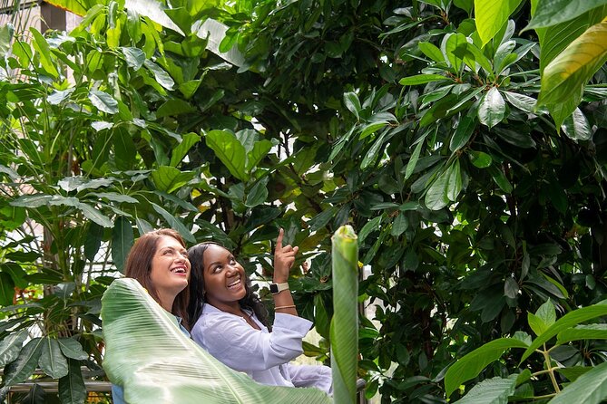 Bombay Sapphire Gin Distillery Tour and Cocktail - The Botanical Room: finding your flavor preferences