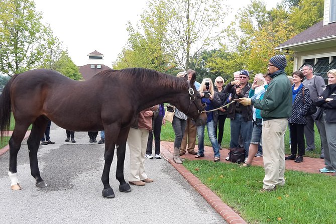 Bourbon Distillery & Horse Farm Tours - The guides make it feel personal, not scripted