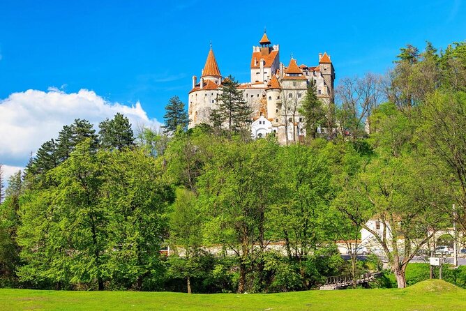 Bran (Dracula) Castle, Bear Sanctuary, Rasnov Fortress & Palinca Distillery - Key Highlights I’d Plan Around