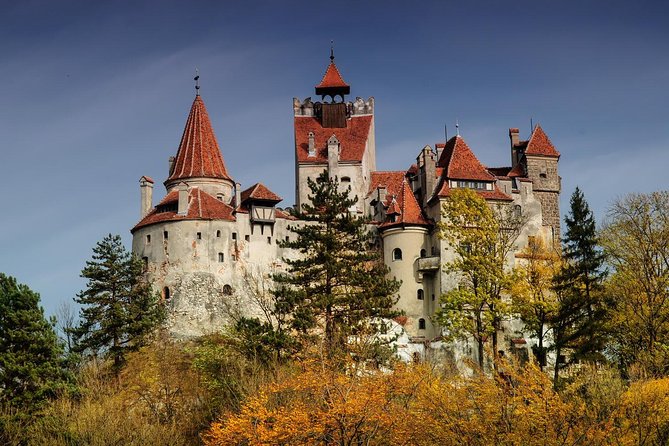 Bran (Dracula) Castle, Bear Sanctuary, Rasnov Fortress & Palinca Distillery - Pickup, Group Size, and Getting Around Without Stress