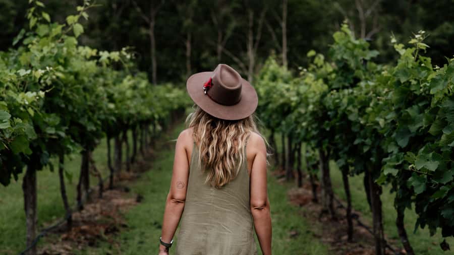Brisbane: Boutique Winery Tour with Gourmet Lunch - Hampton Estate Winery: sightseeing plus first tastings