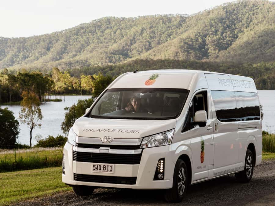 Brisbane: Boutique Winery Tour with Gourmet Lunch - Cedar Creek Estate Winery: lunch that actually carries the day