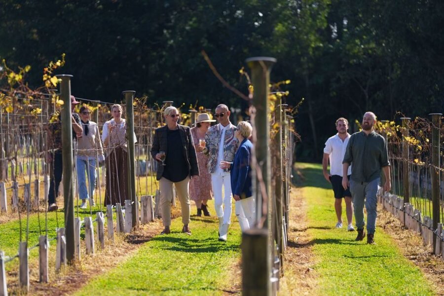Brisbane: Tamborine Wine & Distillery Tour - Price and Value: Is $134 Worth It?