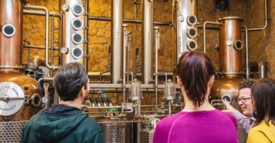 Budapest: Hungarian Whisky, Gin, and Pálinka Tasting - The drive to Agárdi Distillery: why leaving Budapest helps your tasting
