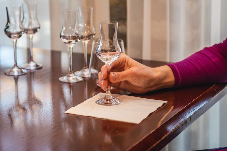 Budapest: Hungarian Whisky, Gin, and Pálinka Tasting - What to do after: using your guide’s tips to keep the trip flowing