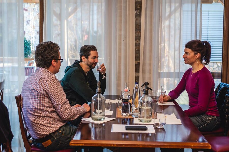 Budapest: Hungarian Whisky, Gin, and Pálinka Tasting - Should you book the pálinka, whisky, and gin tasting near Budapest?