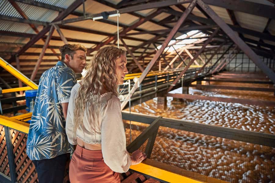 Bundaberg; Bundaberg Rum Distillery Tour and Tasting - Museum first: learning the Bundaberg Rum story in your own pace
