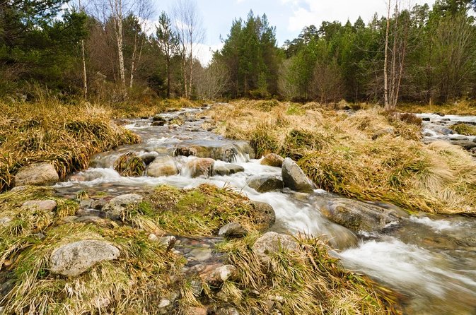 Cairngorms & Whisky Day Tour from Inverness Including Admission - Glenmore Forest Park and Loch Morlich: walking options that fit your mood