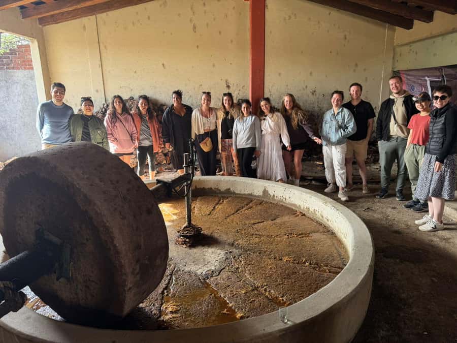 Check out Hierve el Agua, Mitla, the Tule Tree, Rugs, and a Mezcal Distillery Tour - Mitla Archaeological Zone: Zapotec Geometry, Plus Local Explanations
