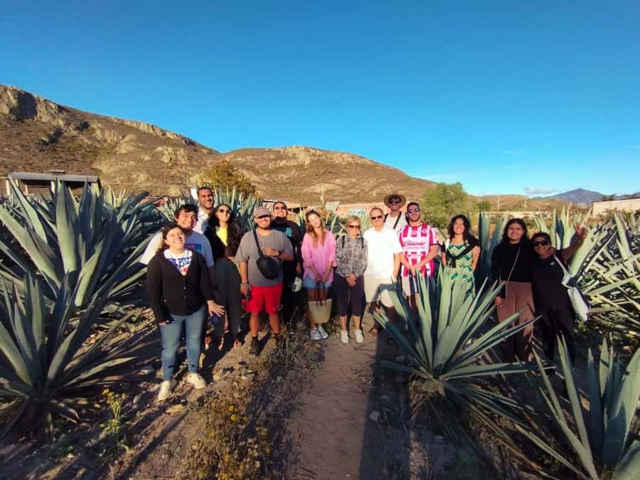 Check out Hierve el Agua, Mitla, the Tule Tree, Rugs, and a Mezcal Distillery Tour - Hierve el Agua: Petrified Waterfalls, Big Views, and Real Walking