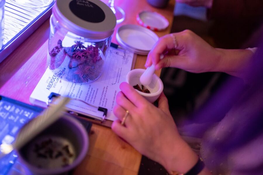 City of Aberdeen Distillery: Gin School Experience - Who this gin school suits best (and who should reconsider)