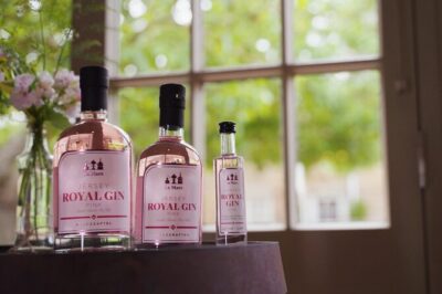 Classic Vineyard Distillery Tour and Tasting Experience in Jersey - Stop 1: La Mare Wine Estate and the Cider-First Welcome