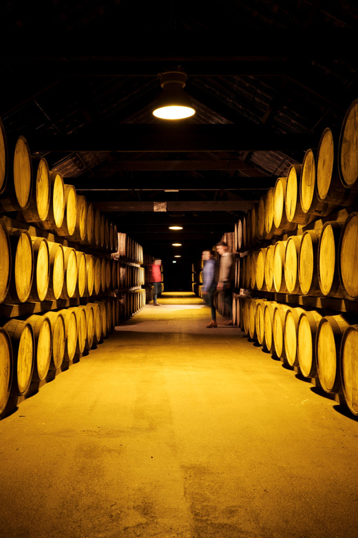 Cork: Midleton Distillery Behind the Scenes Tour & Tasting - Your guide can make or break it: what the best ones do