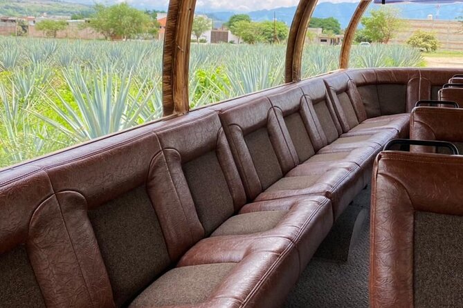 Cultural tour, city fields and distillery - Agave fields: the countryside that explains the bottle