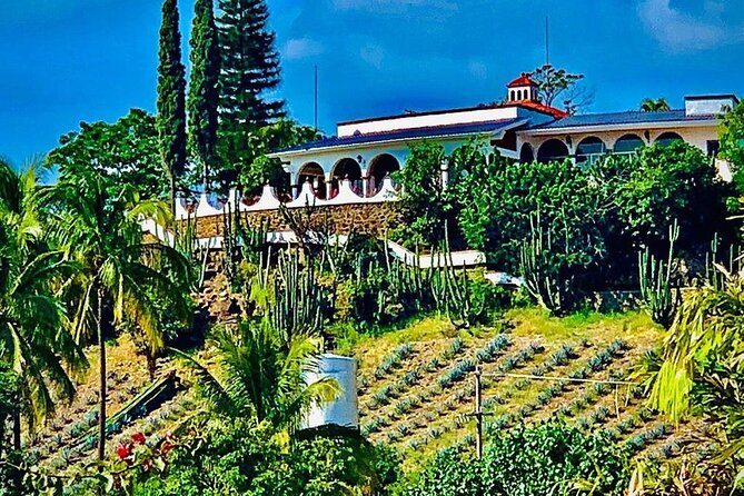 Cultural tour, city fields and distillery - Who should book this Tequila fields and distillery tour?