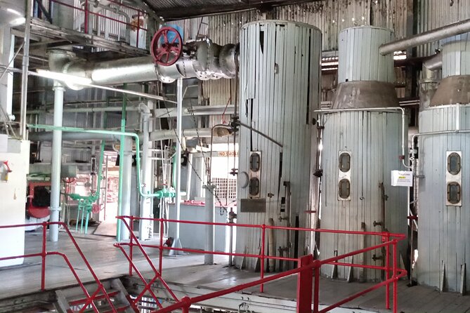 Discover Clarke’s Court Rum Distillery – Transportation Only - Weather and schedule changes: plan for the distillery’s day-of reality