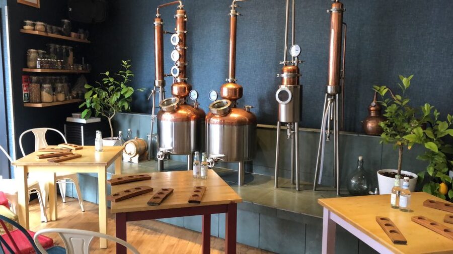 Distillery Masterclass - 8 Scottish gins paired with cheeses - Key things to know before you go