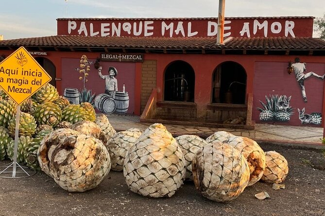 Distillery Tour and Agave Fields by Mal de Amor Mezcal - Key highlights you should know before you go