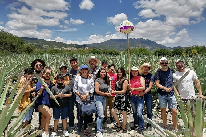 Distillery Tour and Agave Fields by Mal de Amor Mezcal - Stop 1 at Palenque Mal De Amor: agave garden to maturation cellars