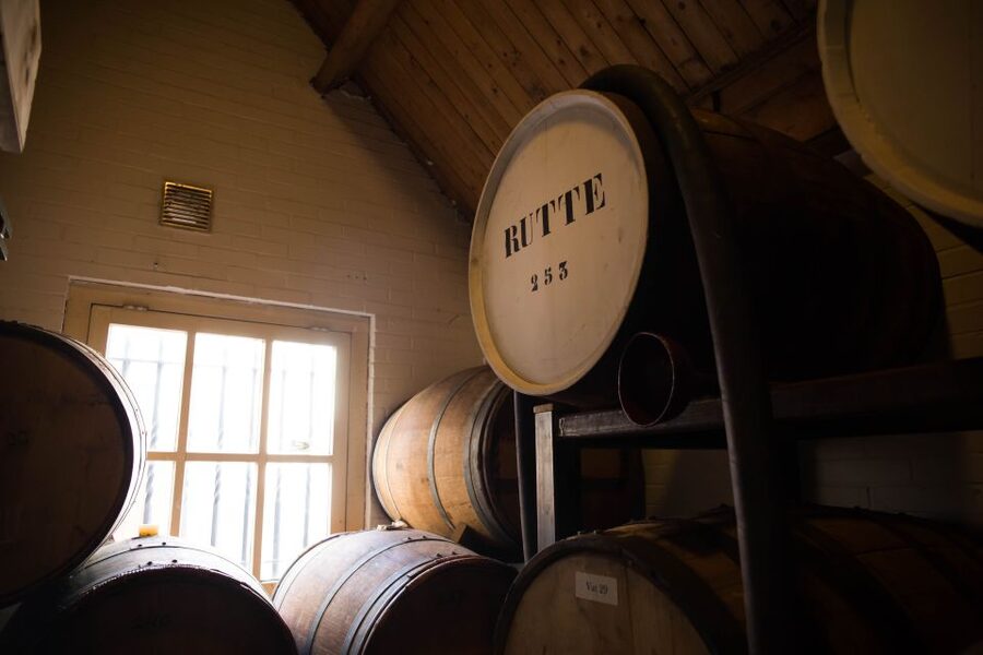 Dordrecht: Distillery Tour with Dutch Gin & Genever Tasting - Price and value for a short distillery tour in Dordrecht
