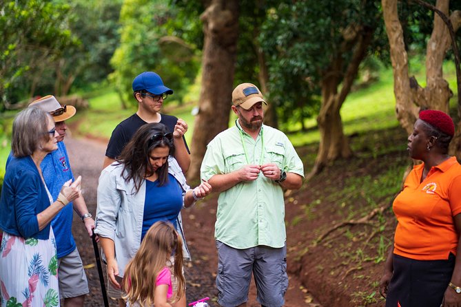 Eastern Tours/ Mt. Carmel Falls / Laura Spice Tour / Clarke's Court Distillery - Laura’s Herb & Spice Garden: learning by smelling, seeing, and tasting