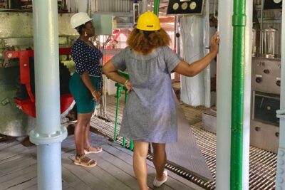 Eastern Tours/ Mt. Carmel Falls / Laura Spice Tour / Clarke's Court Distillery - Royal Mount Carmel Falls: a short hike, private plantation feel, and time to cool off
