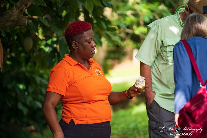 Eastern Tours/ Mt. Carmel Falls / Laura Spice Tour / Clarke's Court Distillery - Clarke’s Court Rum Distillery: molasses rum, sampling, and mixing tips