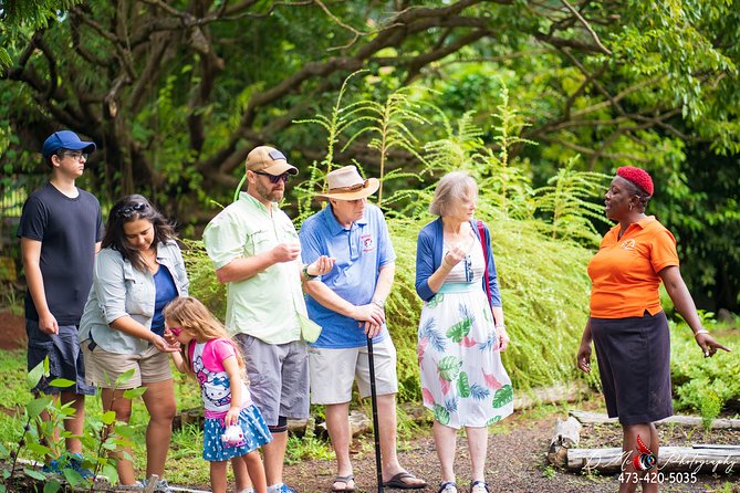 Eastern Tours/ Mt. Carmel Falls / Laura Spice Tour / Clarke's Court Distillery - Group-tour pacing: manageable crowds, fixed time blocks, and your choice afterward