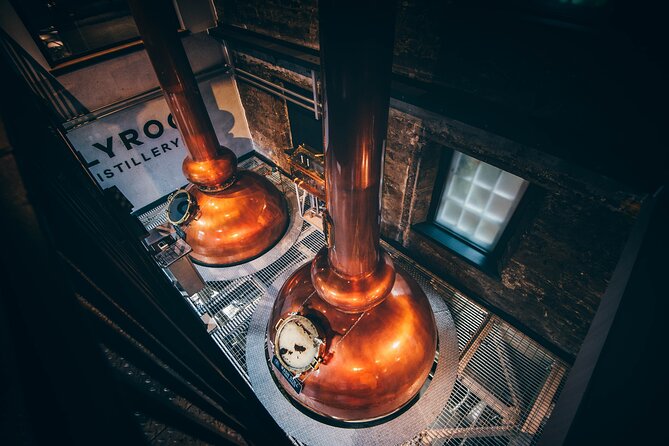 Edinburgh: Holyrood Distillery Whisky and Gin Tour & Tasting - Guides can make or break it: the fun-versus-technical balance