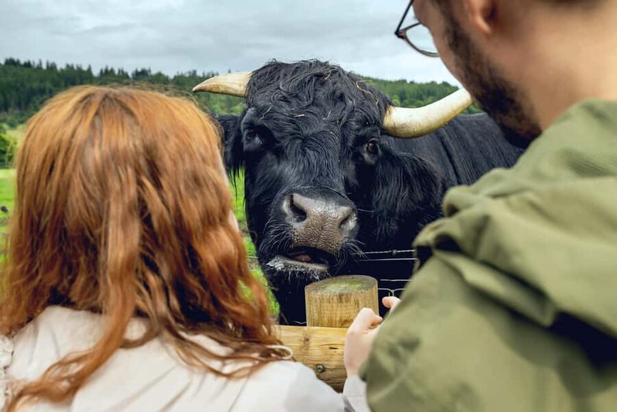 Edinburgh to Scottish Highlands: Whisky, Views & Hairy Coos - Deanston Distillery: Whisky making in a cotton mill setting