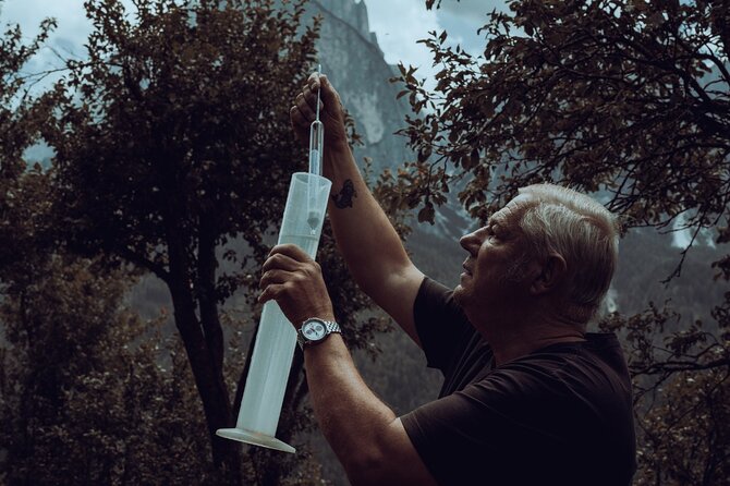 Exclusive distillery tour in the Dolomites To Plun Distillery - The cellar tour: copper, craftsmanship, and how the steps connect