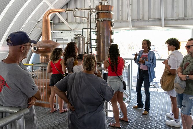 Farm to Bottle Tour at Prosperity Farm Distillery - Tasting Room Time: Three Spirits, One Cocktail, and Real Flavor Clues