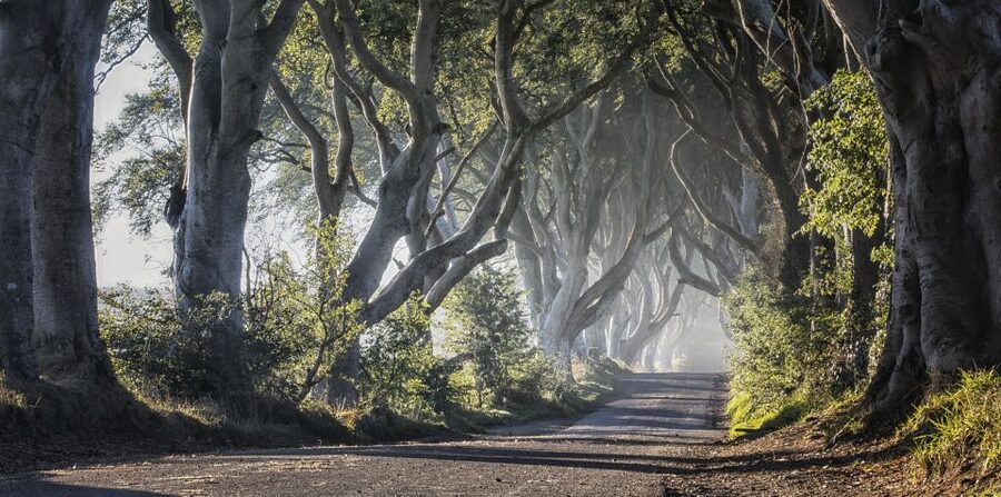 From Dublin: Giant's Causeway Tour and Whiskey Tasting - Tour Timing, Comfort, and What to Pack for 13 Hours